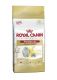 Royal Canin Persian 30 10kg