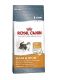 Royal Canin Hair & Skin 33 10kg