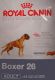 Royal Canin Boxer 26 12kg