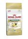 Royal Canin Siamese 38 10kg