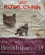 Royal Canin British Shorthair 34   400g *NEU*
