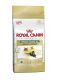 Royal Canin Maine Coon 31  2kg