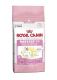 Royal Canin Babycat 34 2kg