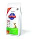 Hills Canine Puppy Large Breed Huhn 12Kg