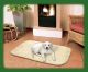 Heimtierdecke Medifleece Beige